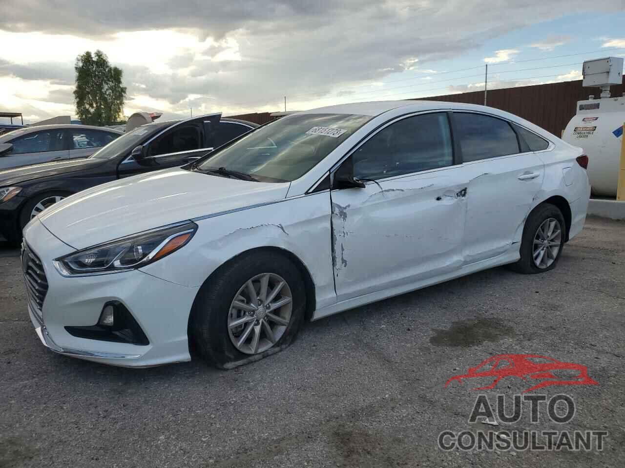 HYUNDAI SONATA 2019 - 5NPE24AF7KH791644