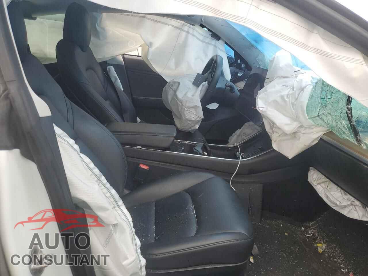 TESLA MODEL 3 2019 - 5YJ3E1EA7KF299819