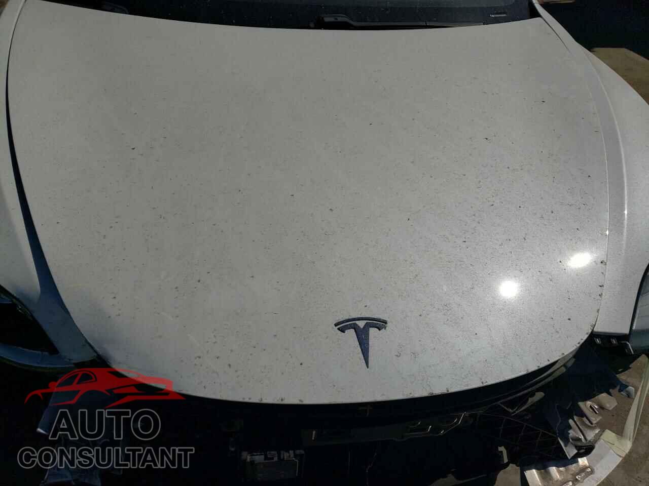TESLA MODEL 3 2020 - 5YJ3E1EA2LF806479