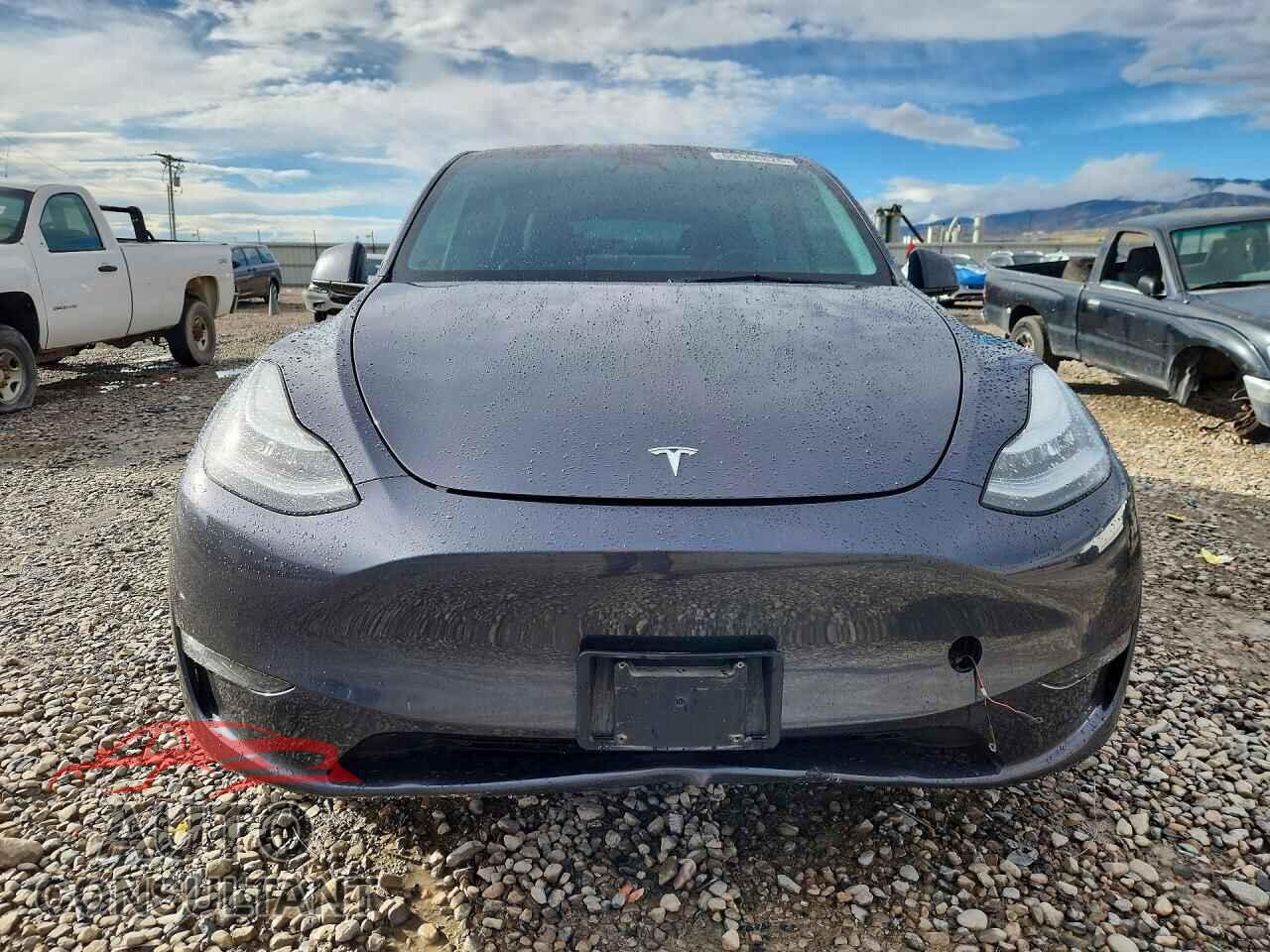 TESLA MODEL Y 2023 - 7SAYGDEE2PF615416