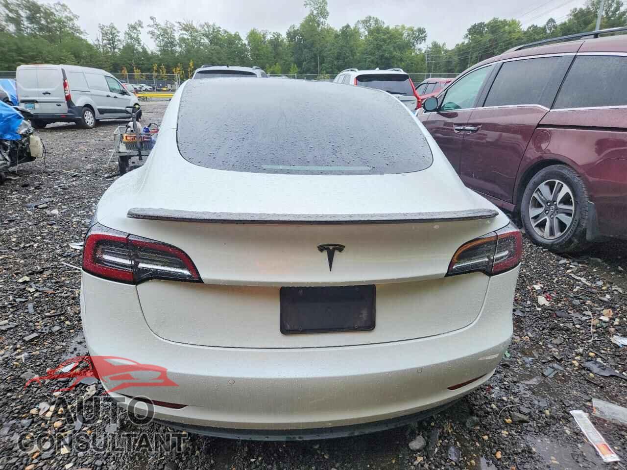 TESLA MODEL 3 2019 - 5YJ3E1EA1KF299900