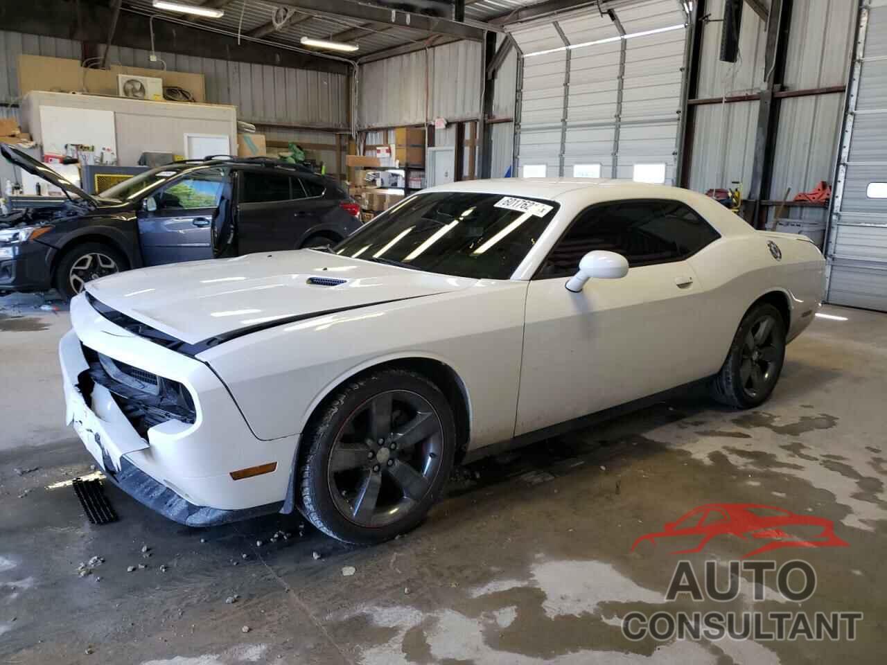 DODGE CHALLENGER 2013 - 2C3CDYAG3DH570057