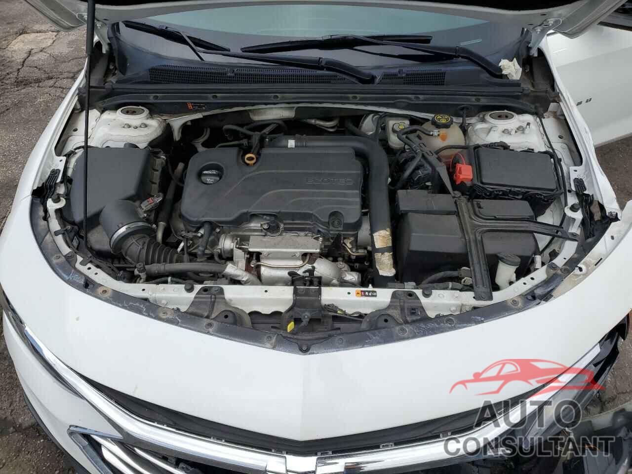 CHEVROLET MALIBU 2019 - 1G1ZD5ST8KF167862