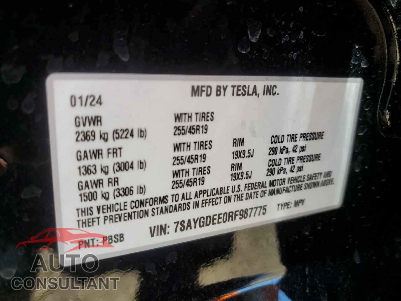 TESLA MODEL Y 2024 - 7SAYGDEE0RF987775