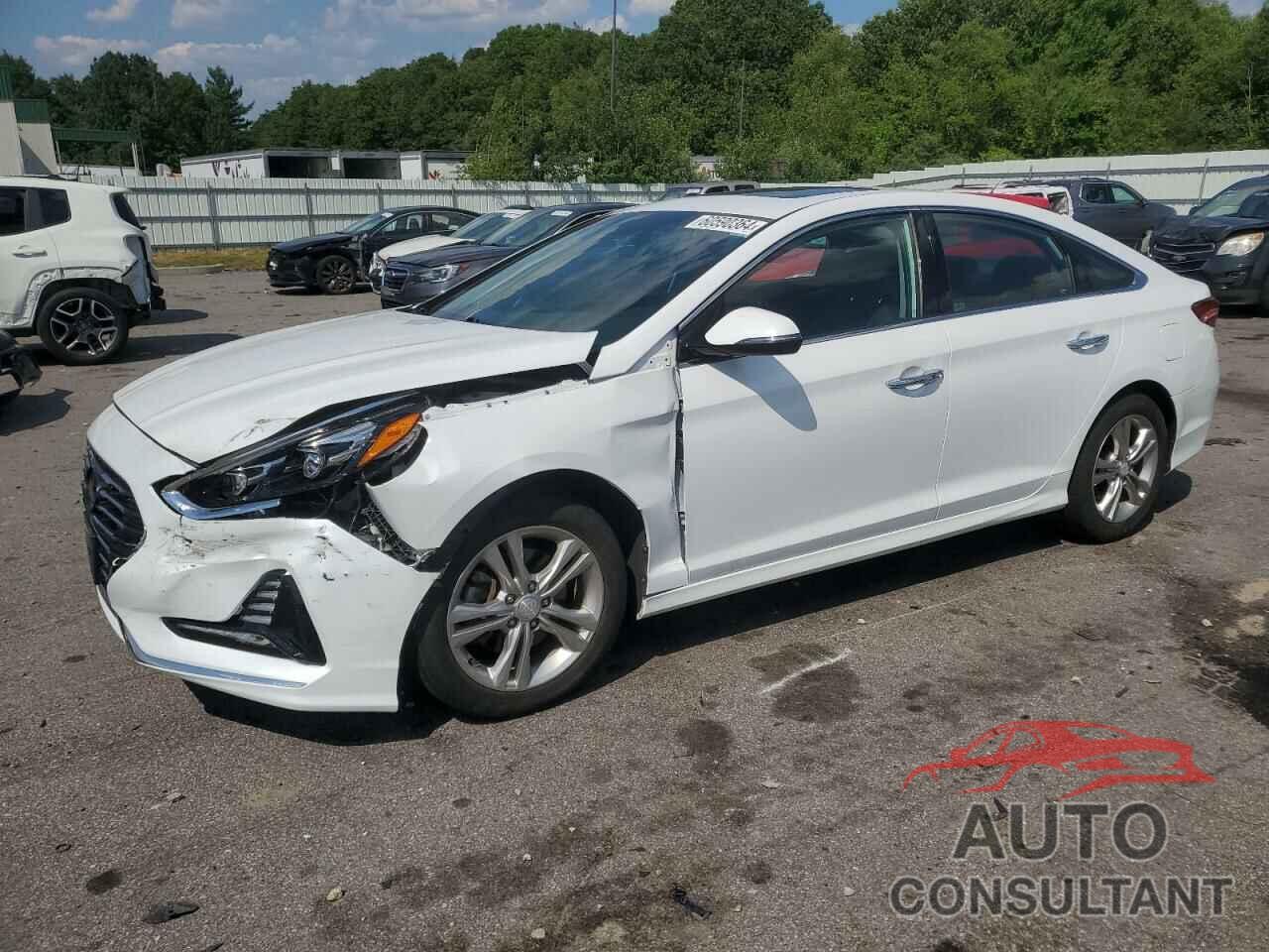 HYUNDAI SONATA 2018 - 5NPE34AF3JH603312