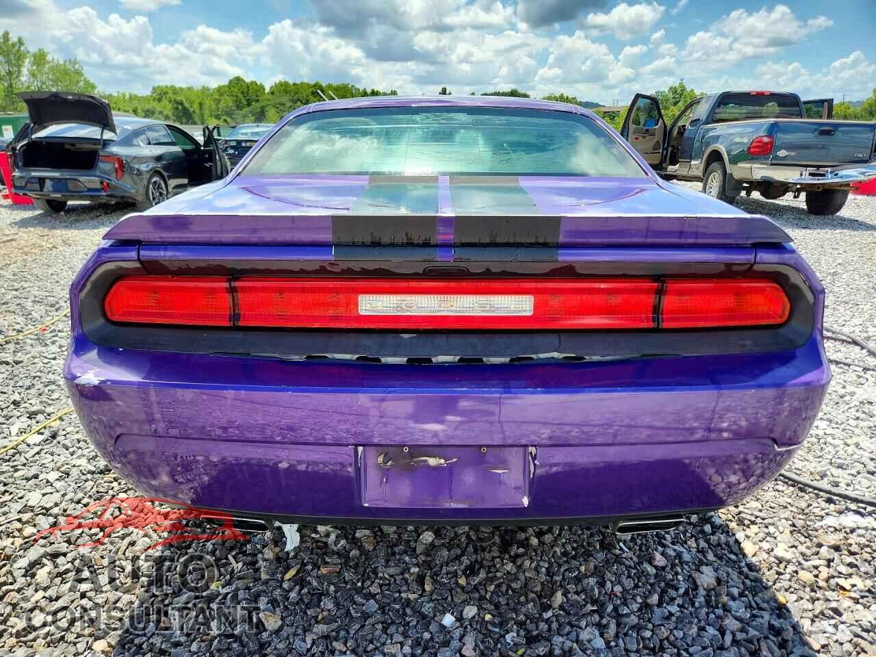 DODGE CHALLENGER 2013 - 2C3CDYAG9DH596355