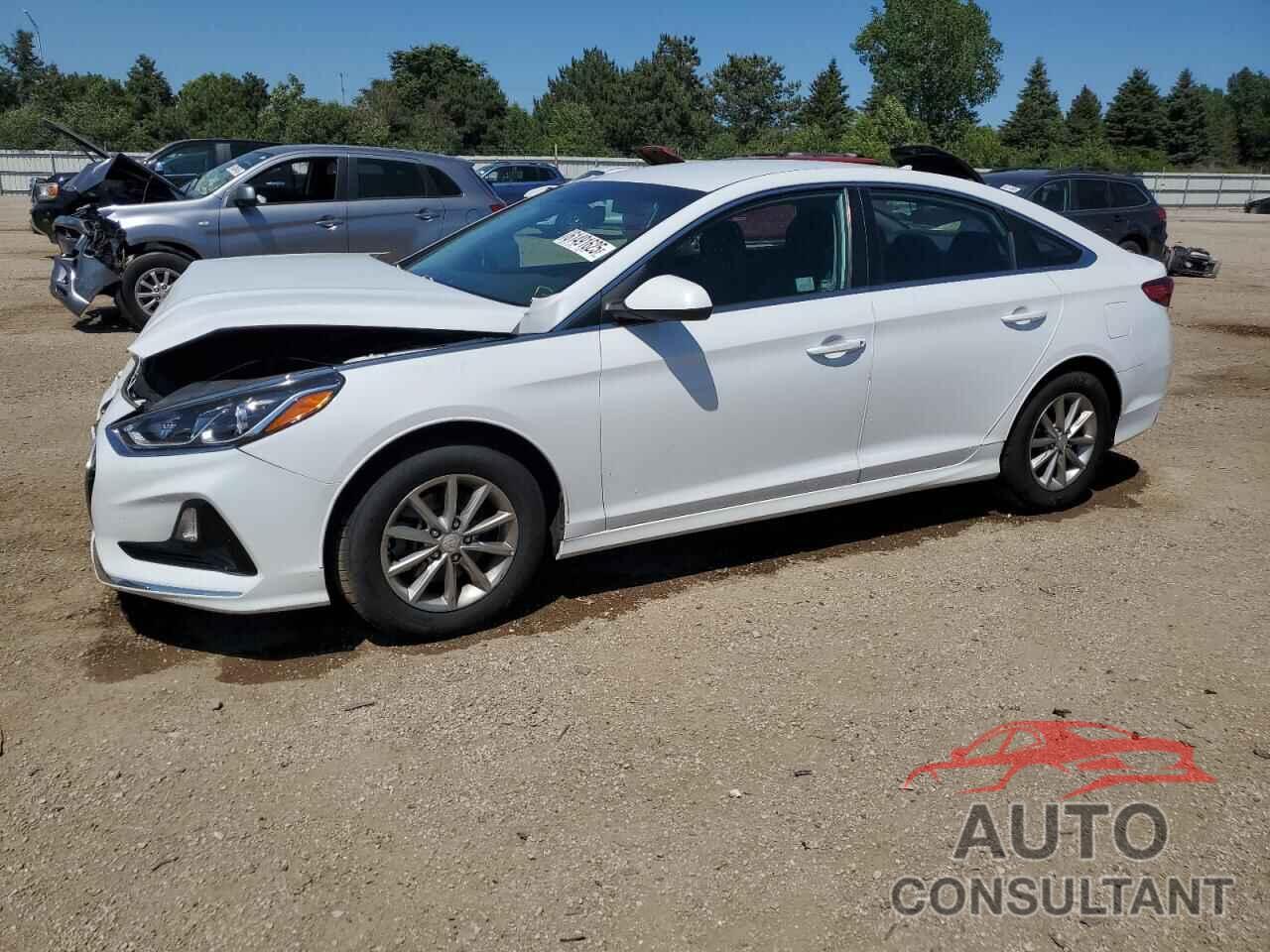 HYUNDAI SONATA 2019 - 5NPE24AF2KH732663