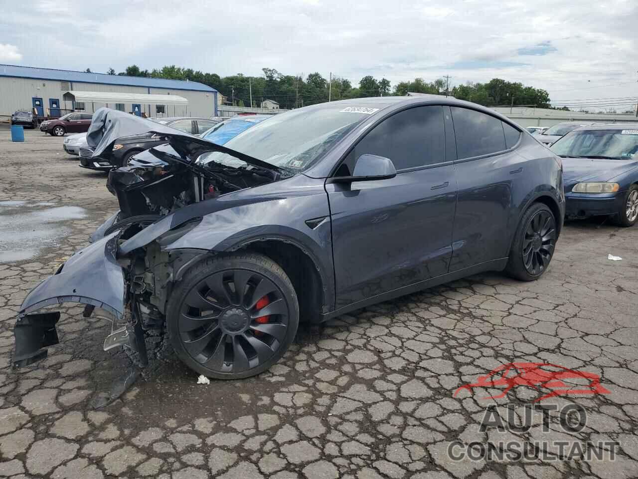 TESLA MODEL Y 2022 - 7SAYGDEF4NF381026