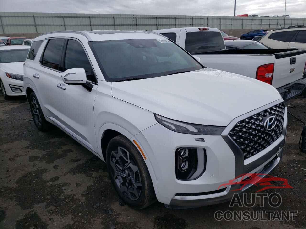 HYUNDAI PALISADE 2021 - KM8R74HE0MU302165