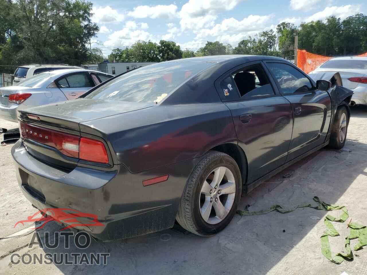 DODGE CHARGER 2014 - 2C3CDXBG8EH198421