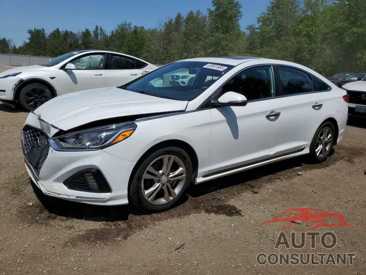 HYUNDAI SONATA 2019 - 5NPE34AF6KH755943