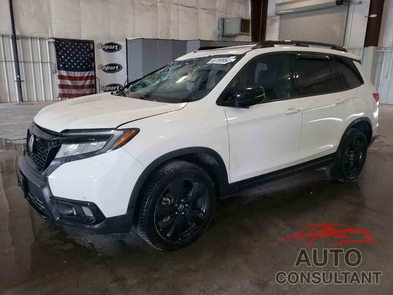 HONDA PASSPORT 2019 - 5FNYF8H09KB006985