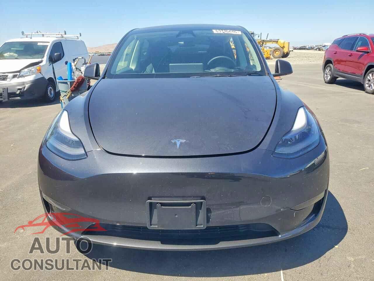 TESLA MODEL Y 2024 - 7SAYGDEEXRF025256