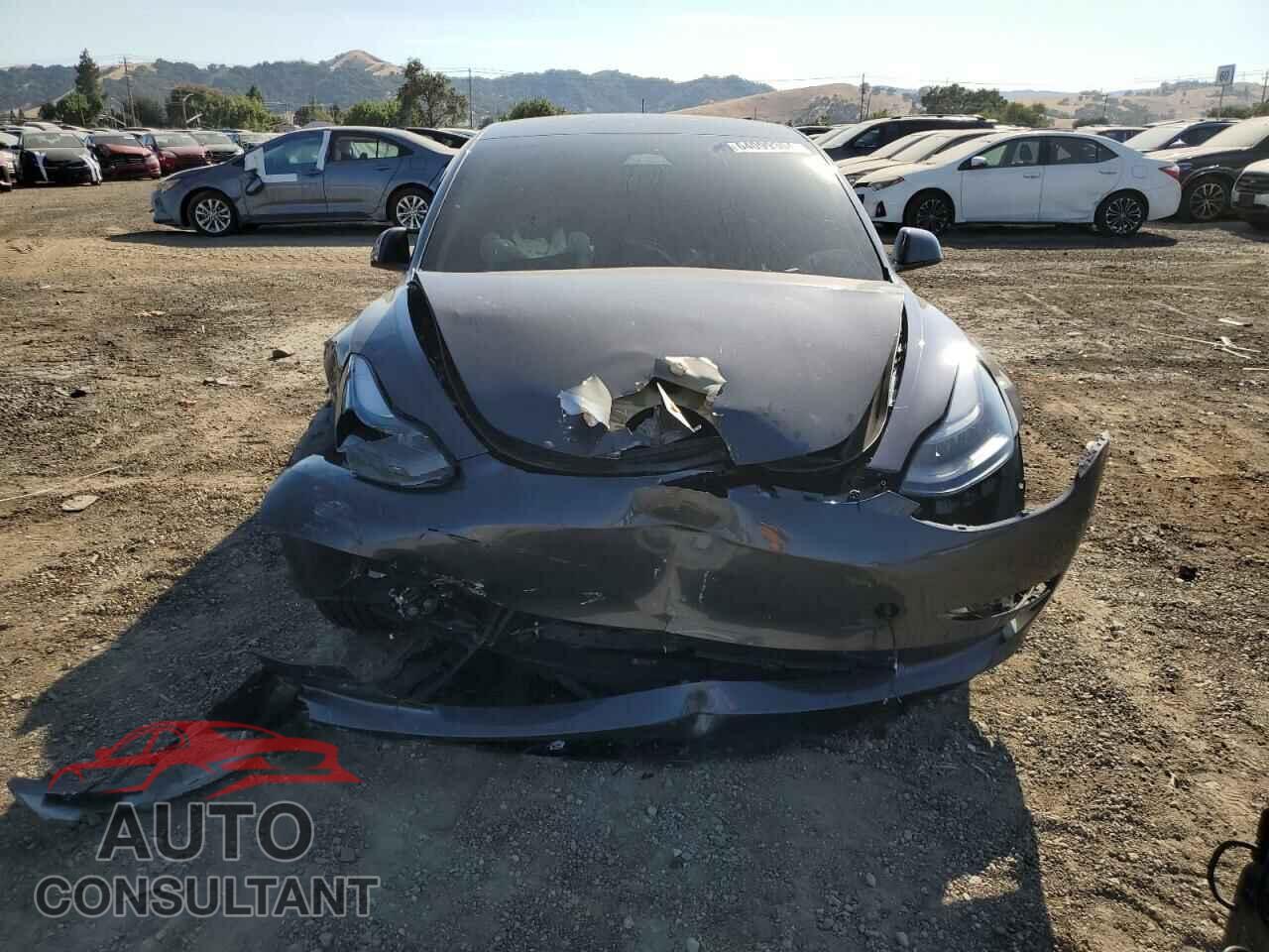 TESLA MODEL 3 2023 - 5YJ3E1EB8PF634487