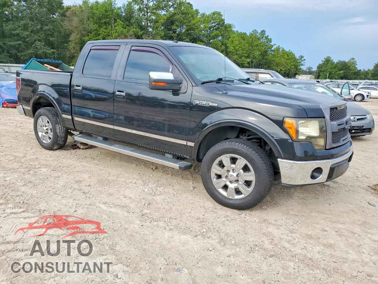 FORD F150 2010 - 1FTFW1CV9AFA55230