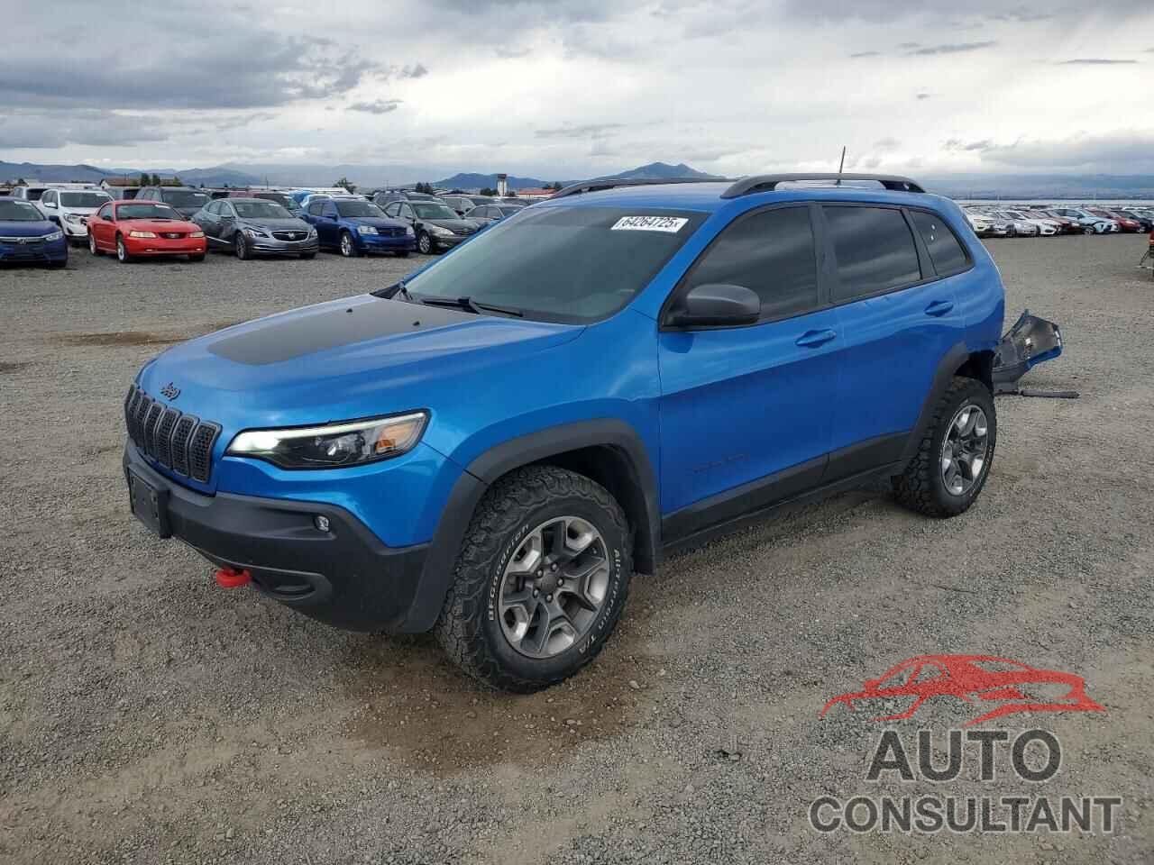 JEEP CHEROKEE 2019 - 1C4PJMBX9KD374454