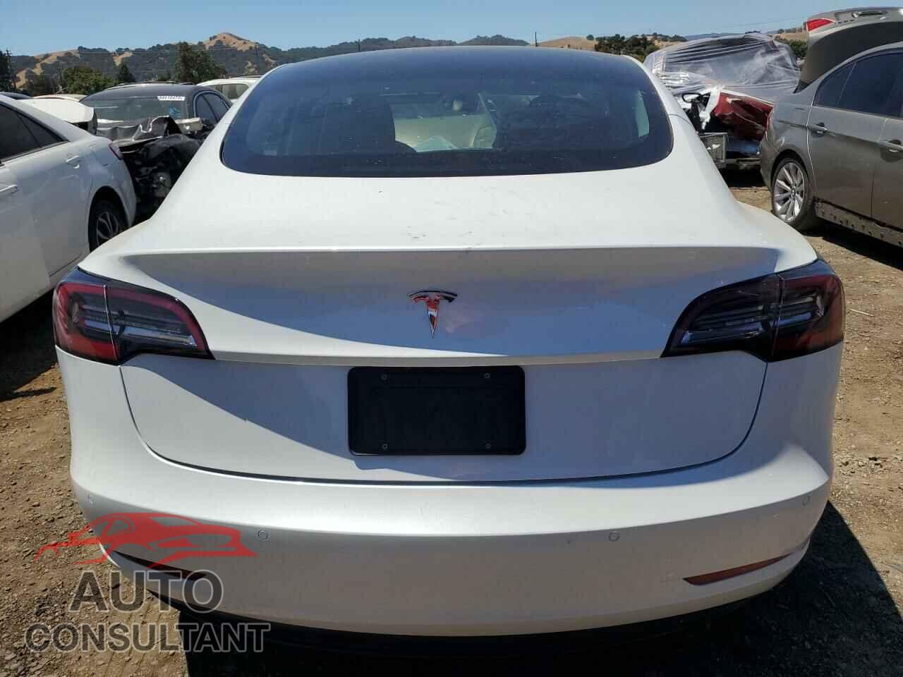 TESLA MODEL 3 2021 - 5YJ3E1EA2MF077997