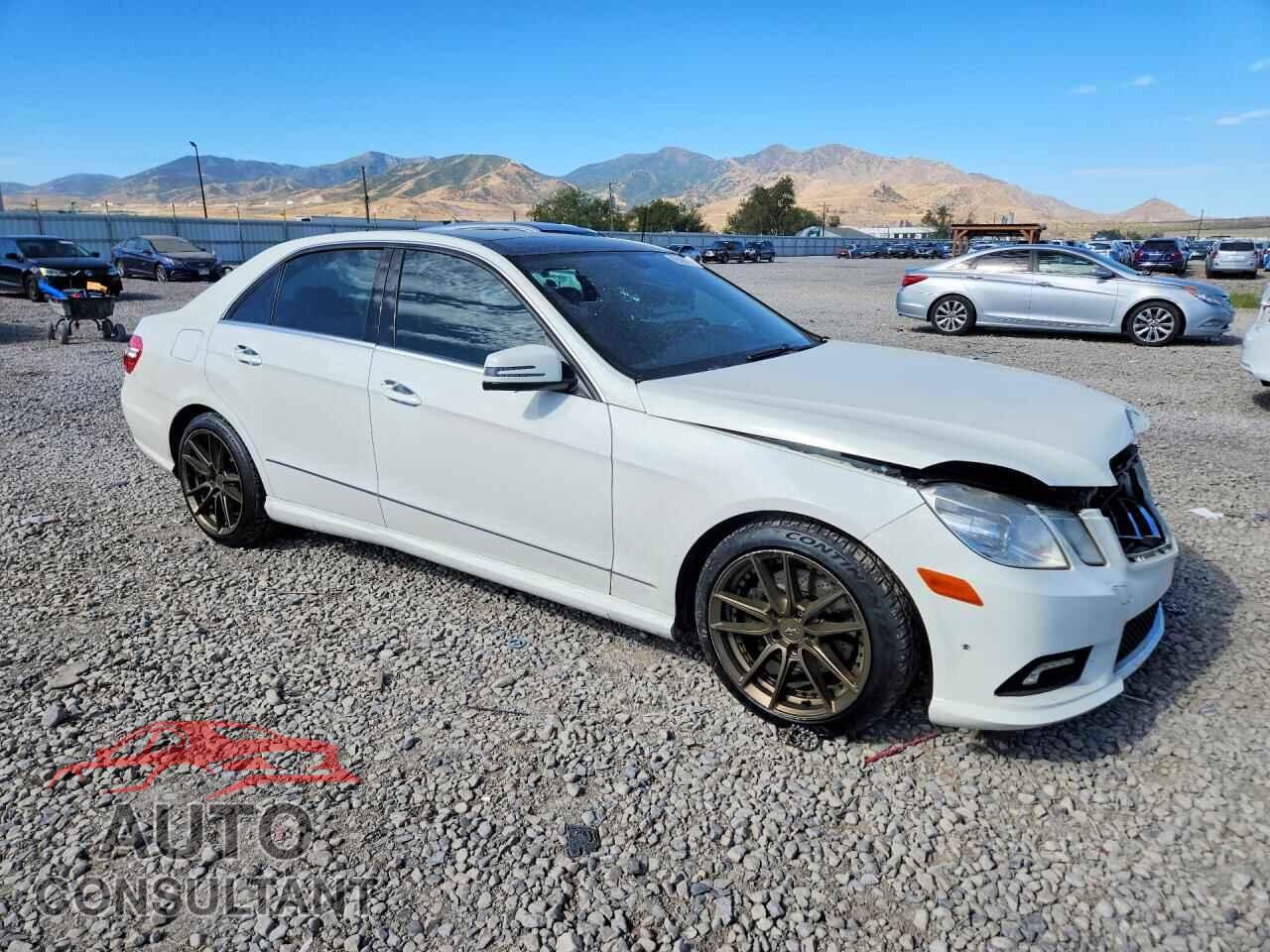 MERCEDES-BENZ E-CLASS 2011 - WDDHF8HBXBA312397