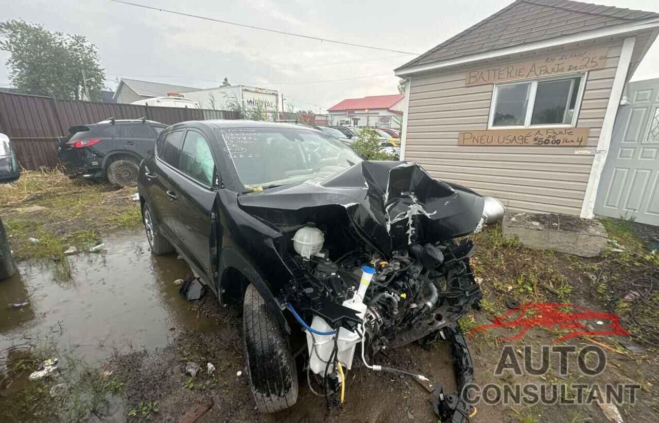 HYUNDAI TUCSON 2019 - KM8J2CA41KU904996