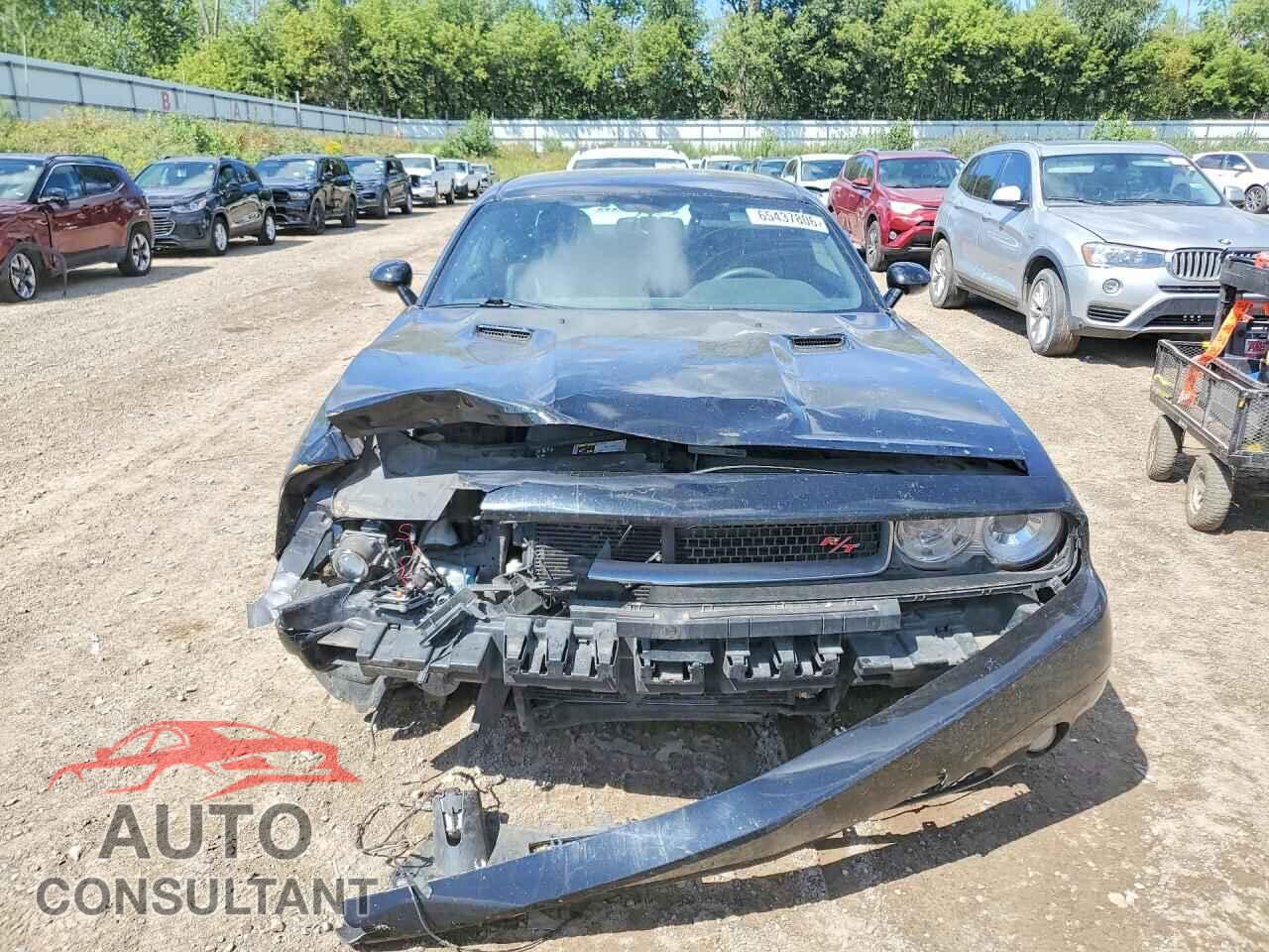 DODGE CHALLENGER 2014 - 2C3CDYBT0EH126261