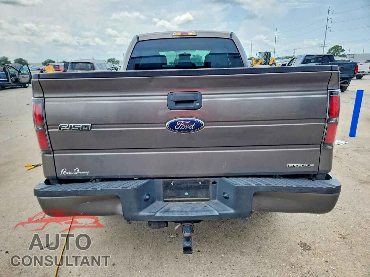 FORD F150 2013 - 1FTFX1CF9DFD93530