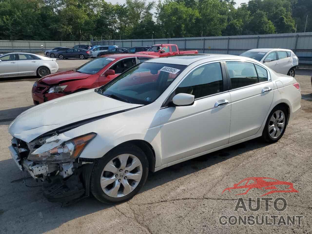 HONDA ACCORD 2010 - 5KBCP3F81AB002402
