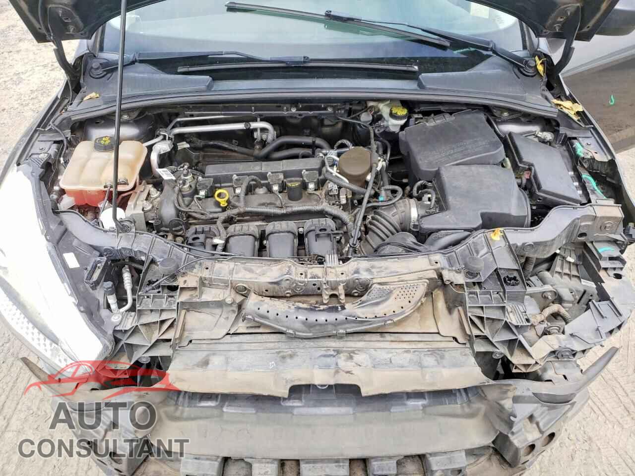 FORD FOCUS 2016 - 1FADP3E23GL209482