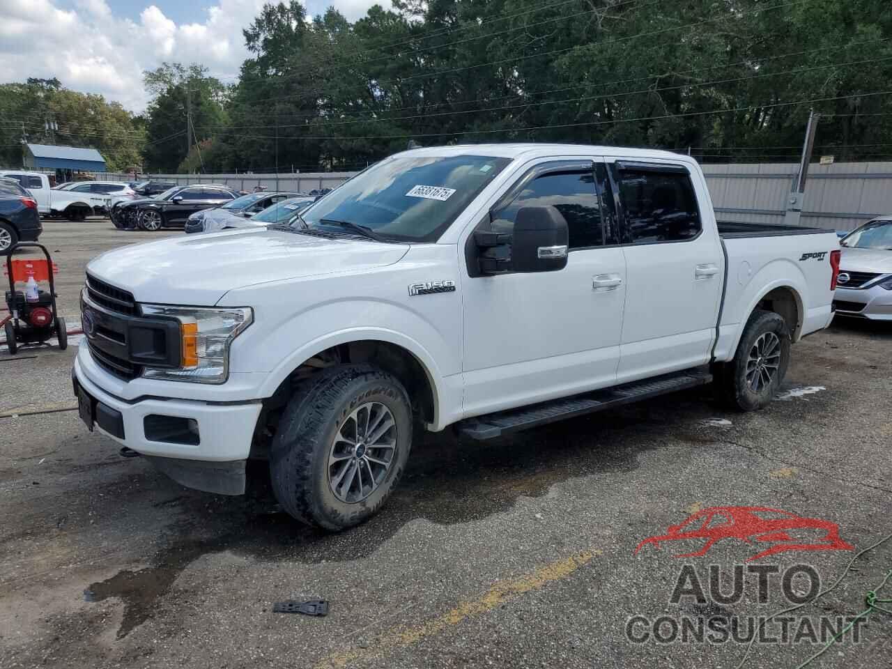 FORD F-150 2019 - 1FTEW1EP4KKF29846