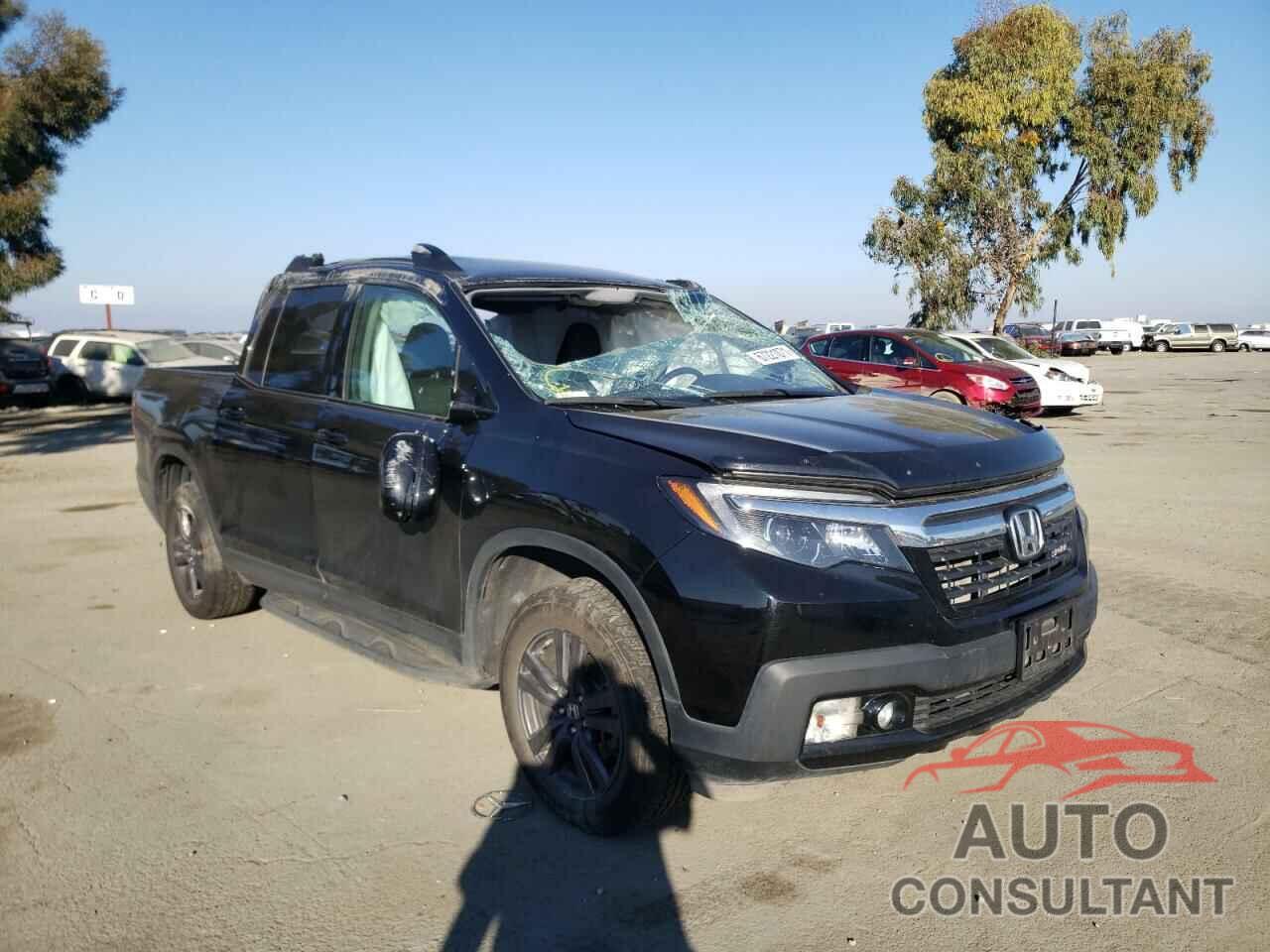 HONDA RIDGELINE 2019 - 5FPYK3F18KB029675