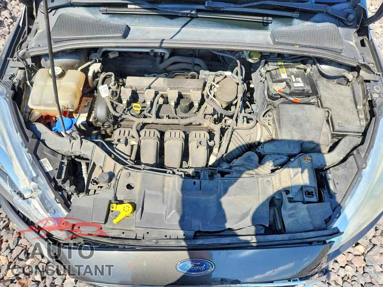 FORD FOCUS 2016 - 1FADP3F20GL292190
