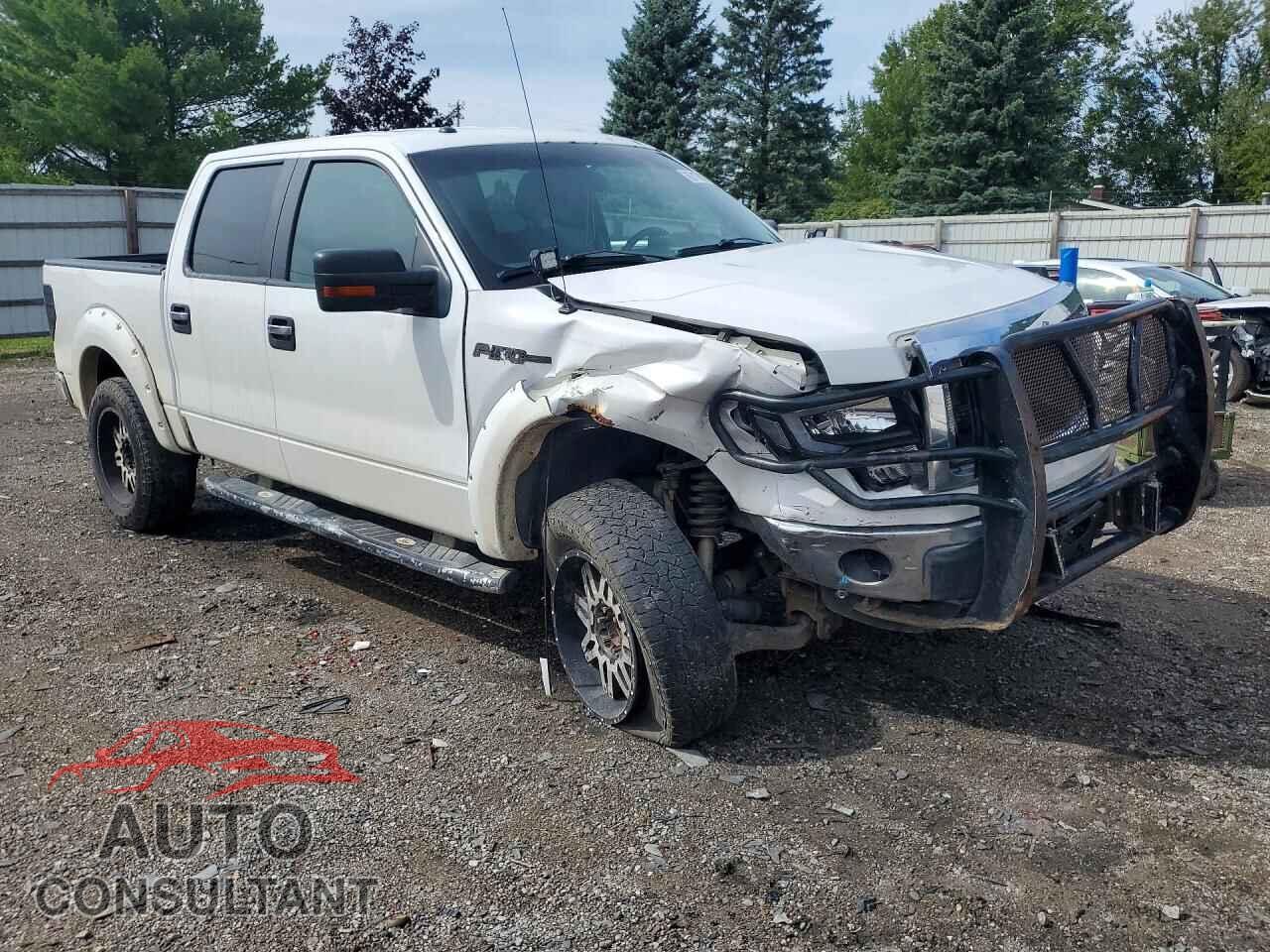 FORD F150 2013 - 1FTFW1EF4DFD57681