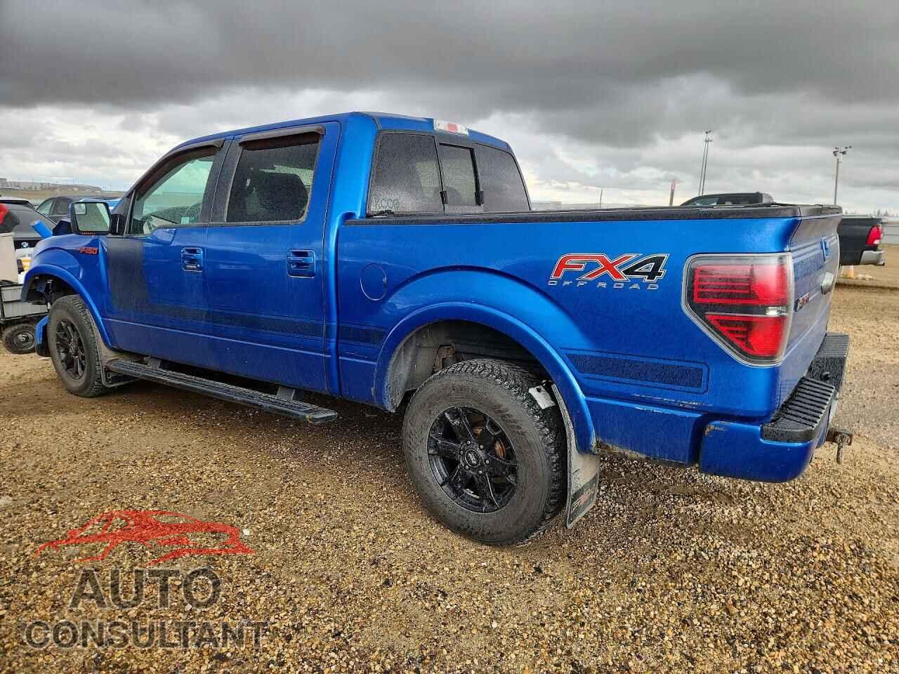FORD F150 2013 - 1FTFW1ET3DFD42448