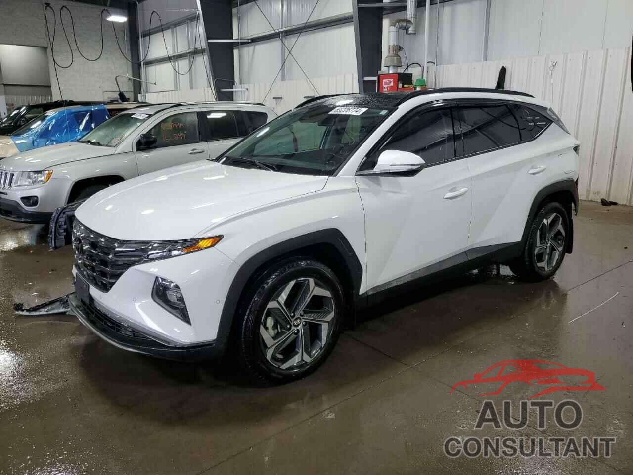 HYUNDAI TUCSON 2022 - 5NMJECAE2NH124571