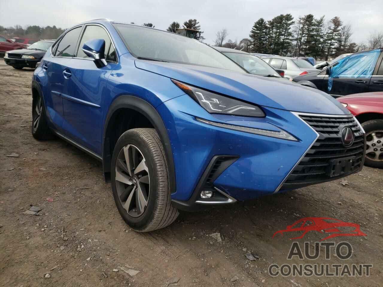 LEXUS NX 2018 - JTJBARBZ0J2153034