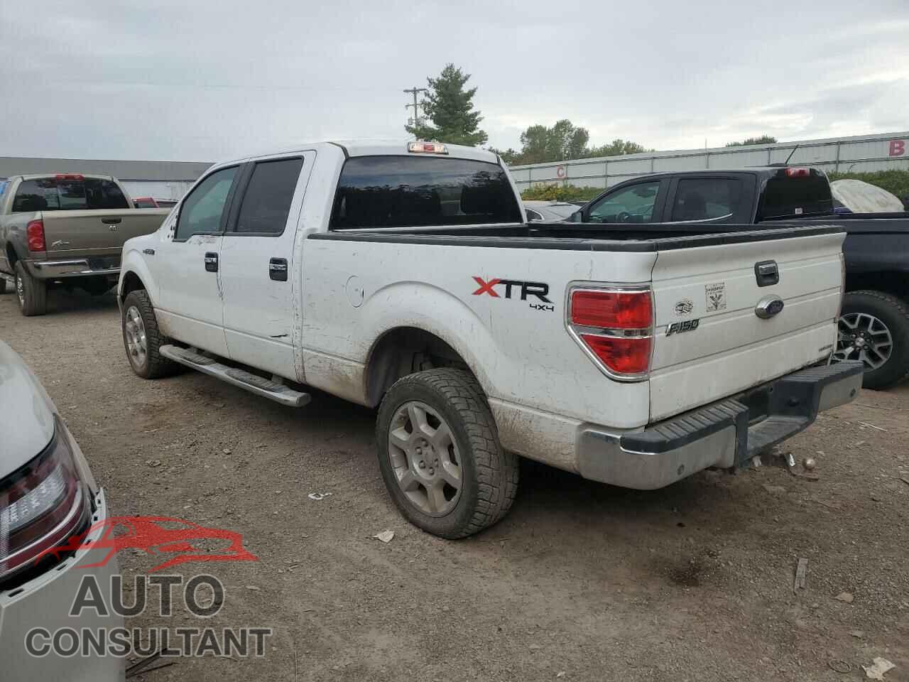 FORD F-150 2013 - 1FTFW1EF4DFD05452