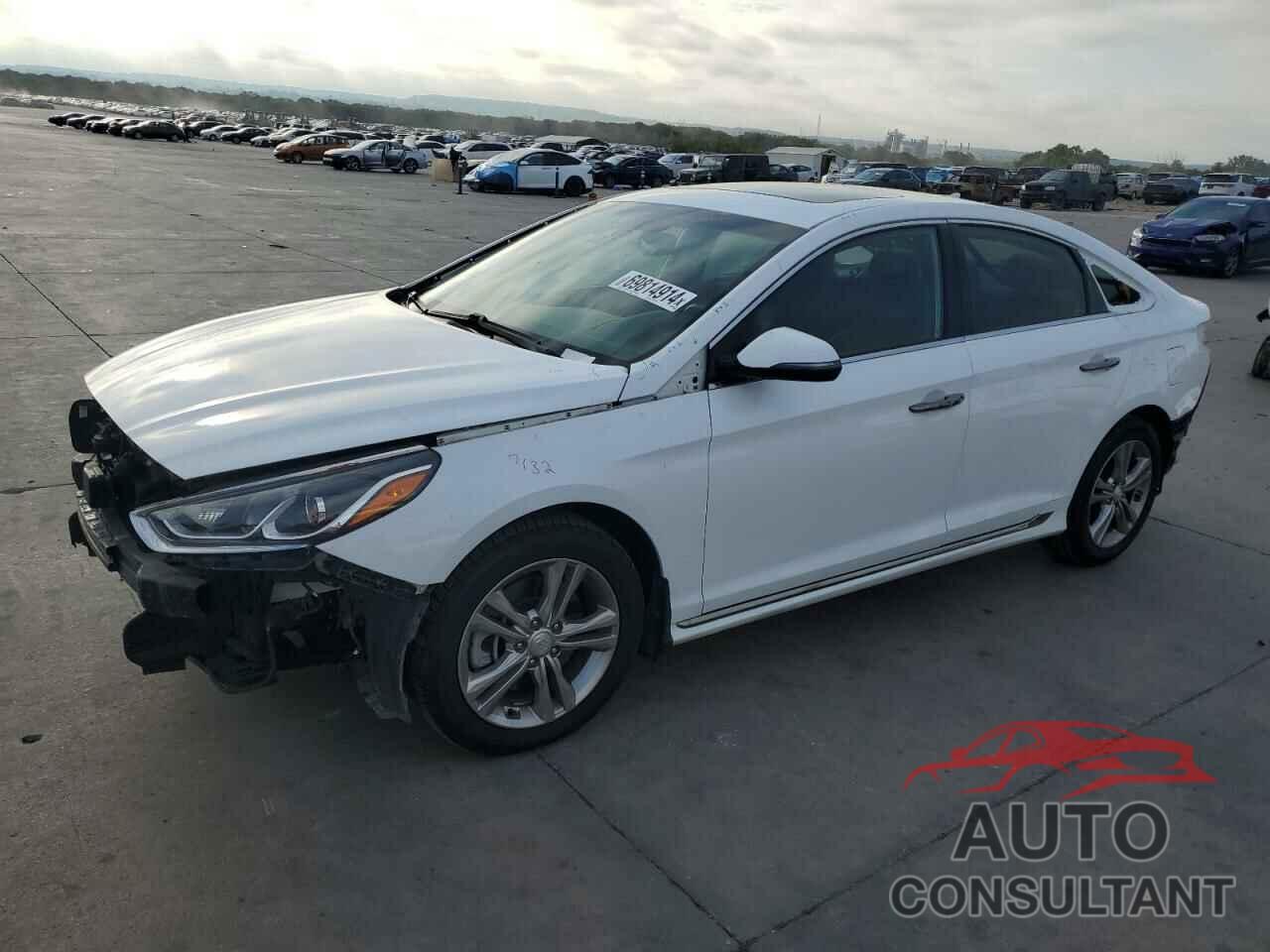 HYUNDAI SONATA 2019 - 5NPE34AF7KH739346