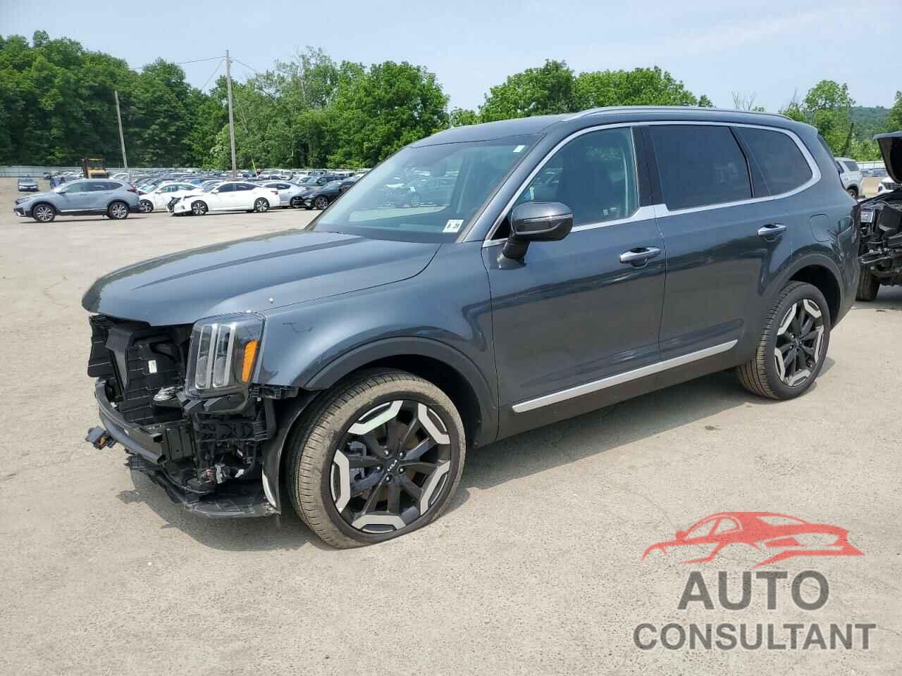 KIA TELLURIDE 2024 - 5XYP6DGC8RG542412