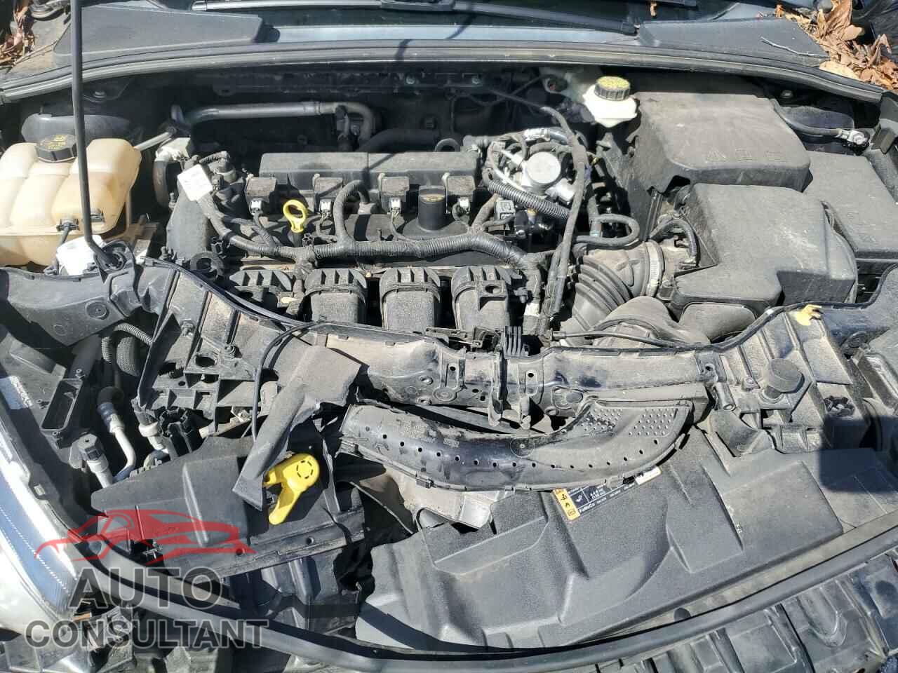 FORD FOCUS 2017 - 1FADP3K24HL223865