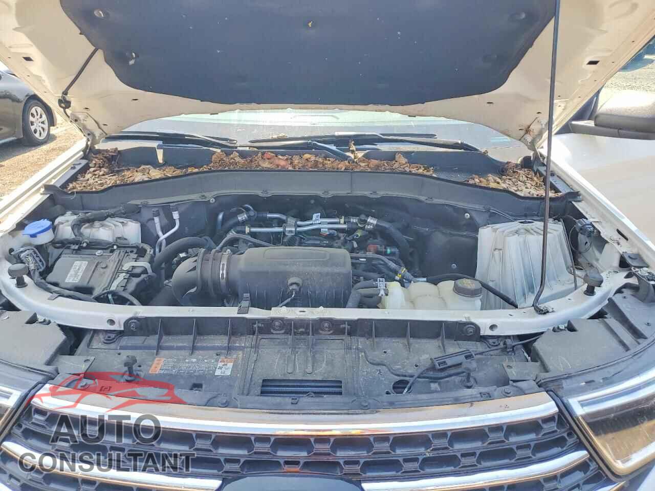 FORD EXPLORER 2023 - 1FMSK8DH7PGB97263