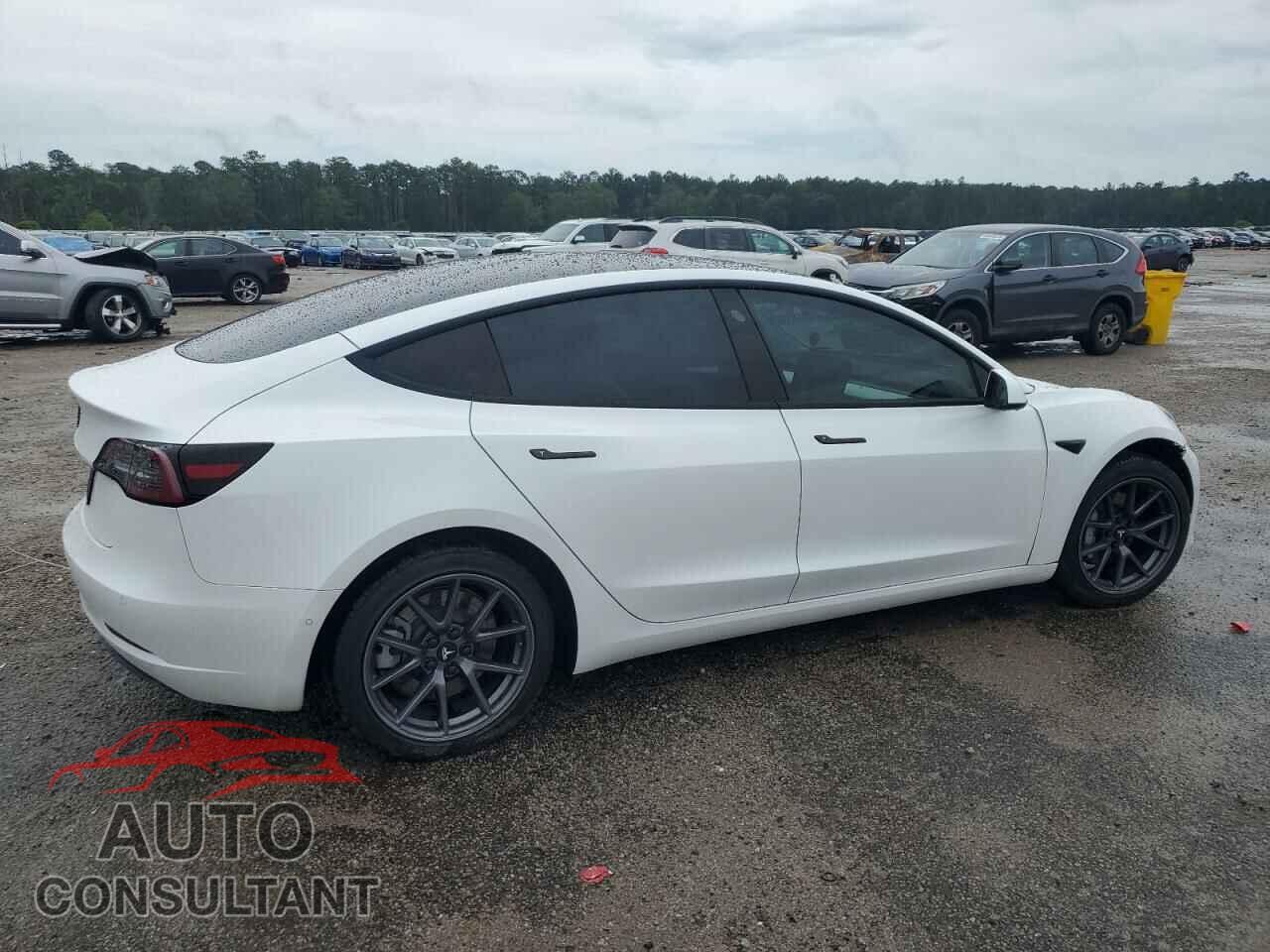 TESLA MODEL 3 2021 - 5YJ3E1EA6MF018984
