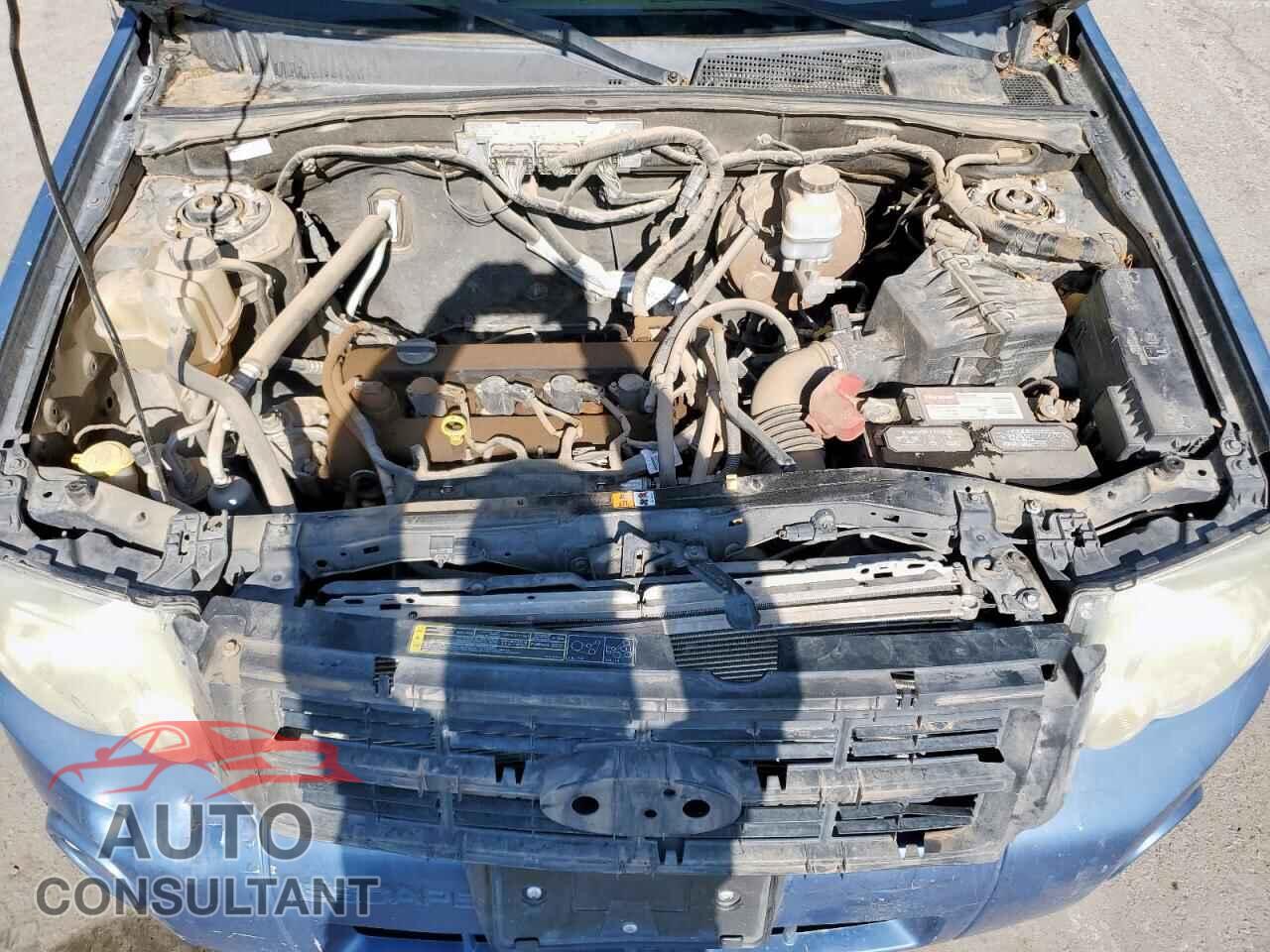 FORD ESCAPE 2010 - 1FMCU0D7XAKC76874