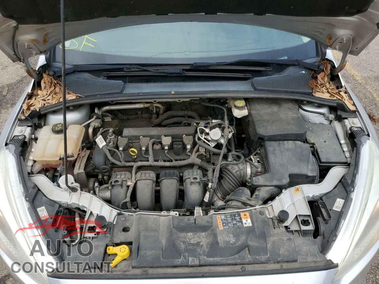 FORD FOCUS 2017 - 1FADP3F29HL242325