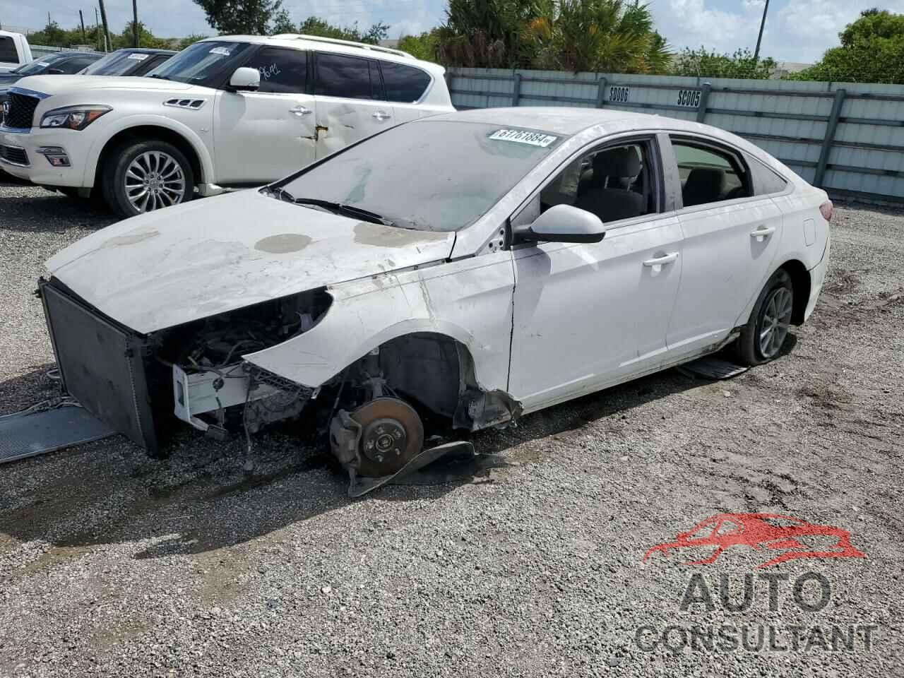 HYUNDAI SONATA 2019 - 5NPE24AF3KH764277