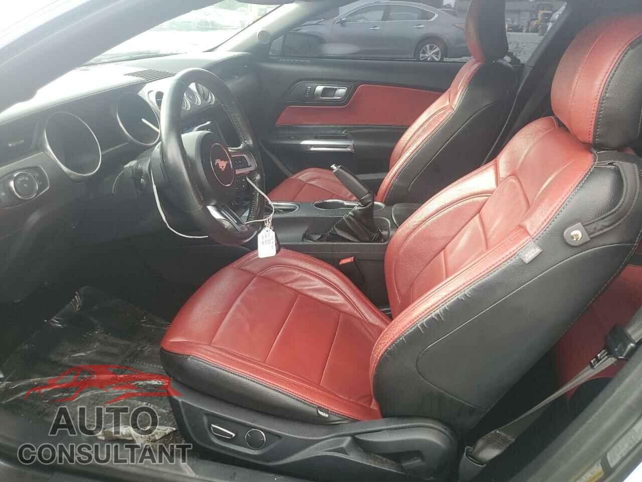 FORD MUSTANG 2019 - 1FA6P8CF2K5116462