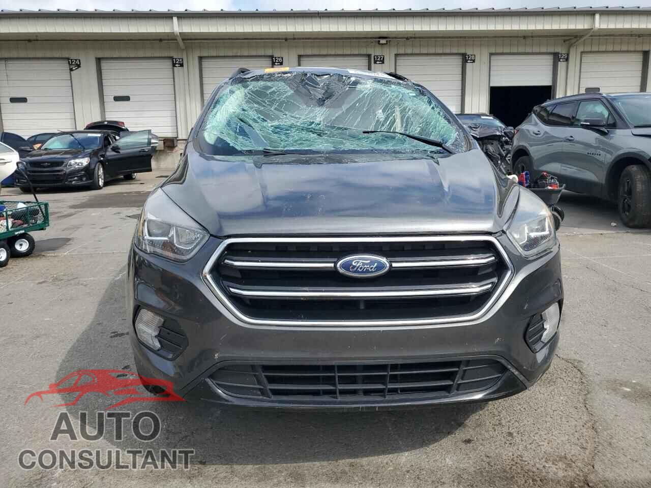 FORD ESCAPE 2017 - 1FMCU0G94HUF10390