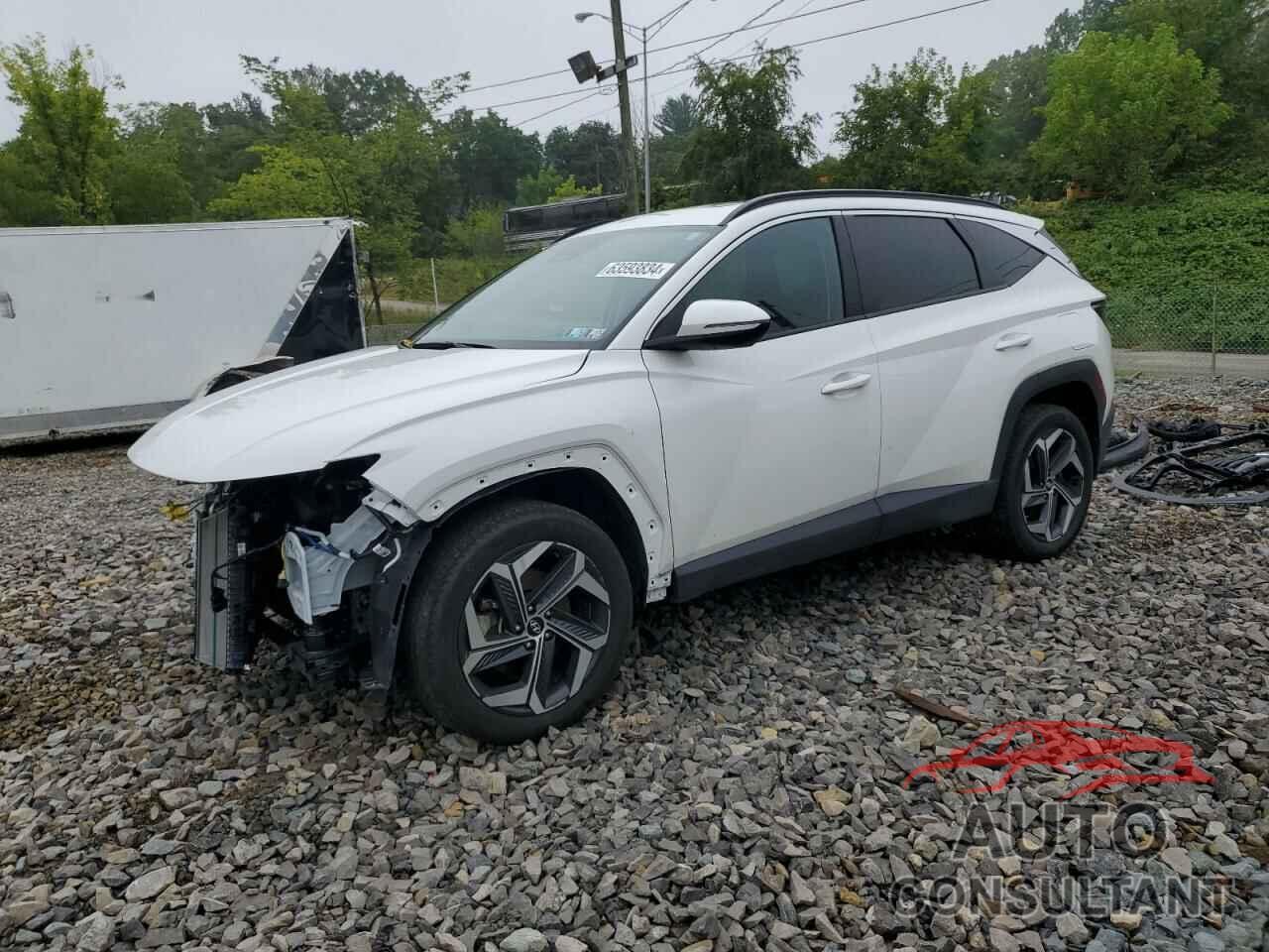 HYUNDAI TUCSON 2023 - 5NMJFCAE1PH275224