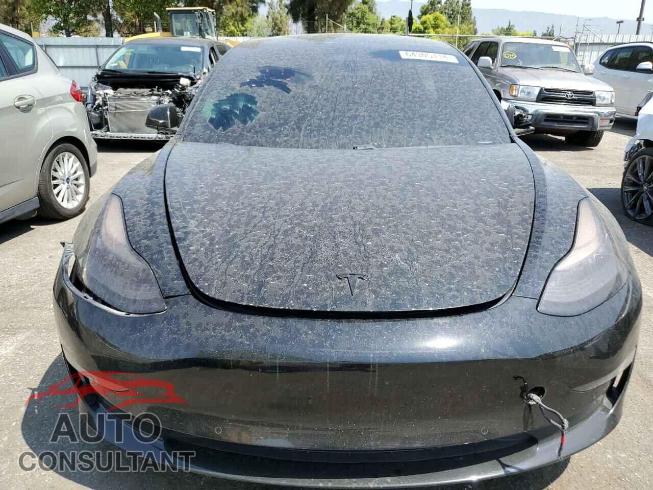 TESLA MODEL 3 2019 - 5YJ3E1EB0KF194497