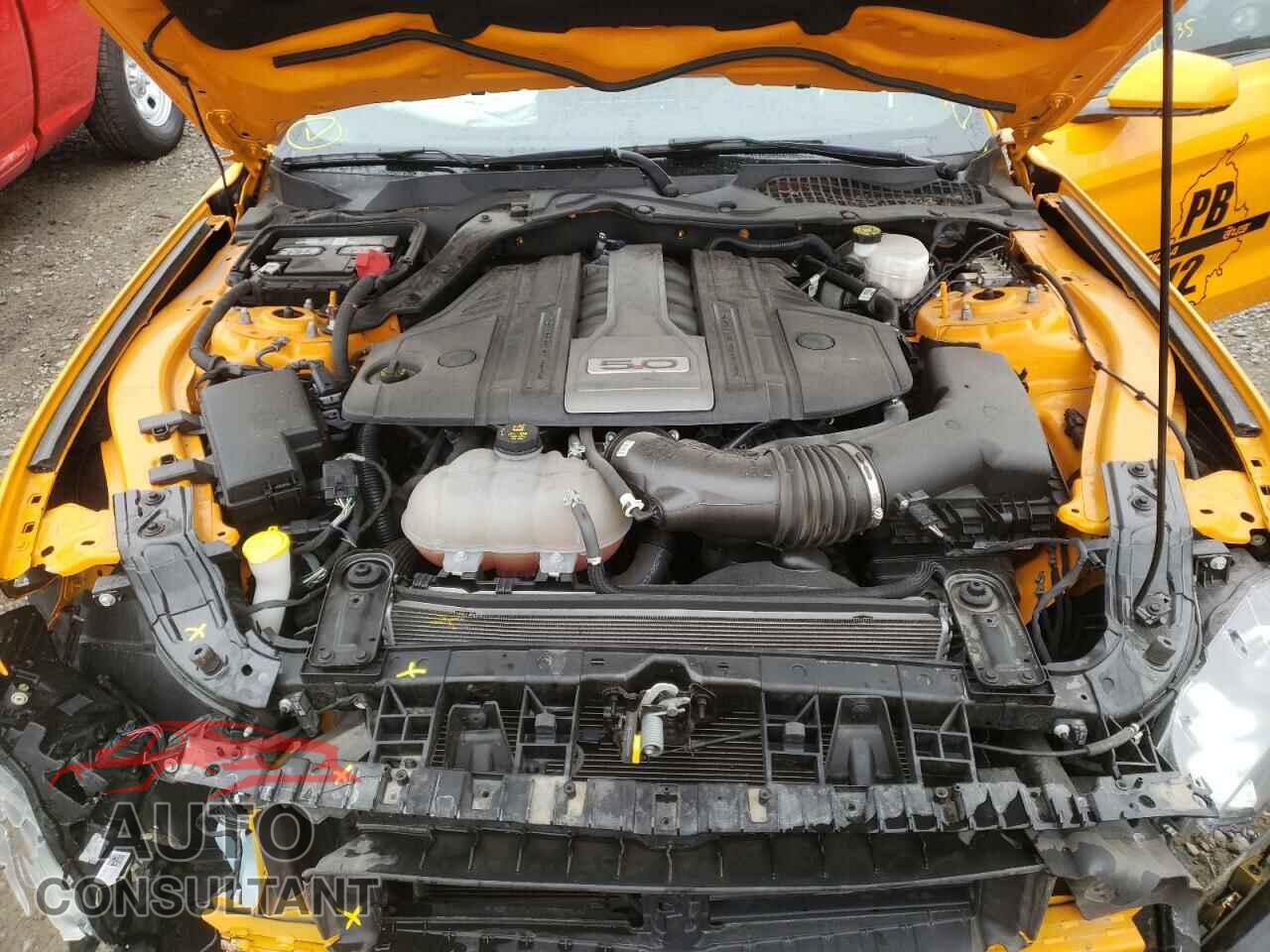 FORD MUSTANG 2019 - 1FA6P8CF5K5124877