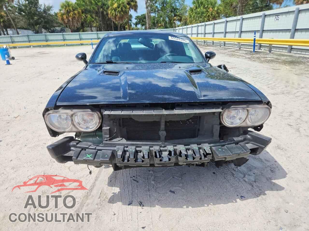 DODGE CHALLENGER 2014 - 2C3CDYBT5EH261266
