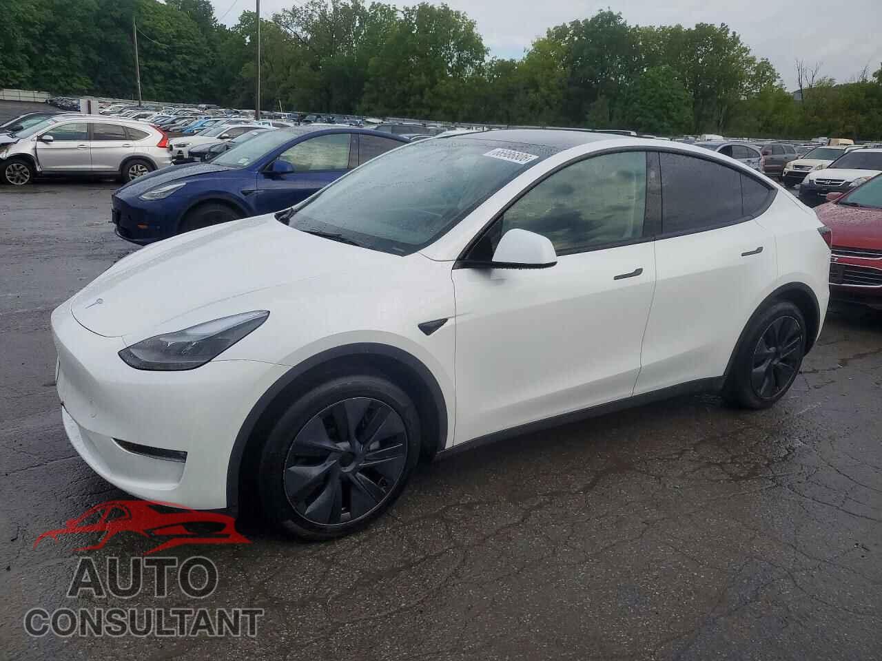 TESLA MODEL Y 2024 - 7SAYGAEE5RF161390